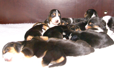 one is awake